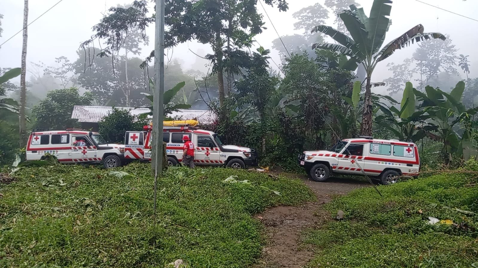 Personal de Cruz Roja y baqueanos recorren zonas montañosas de Bajo Chirripó para localizar a un niño de 4 años desaparecido desde el lunes. Fotografía: