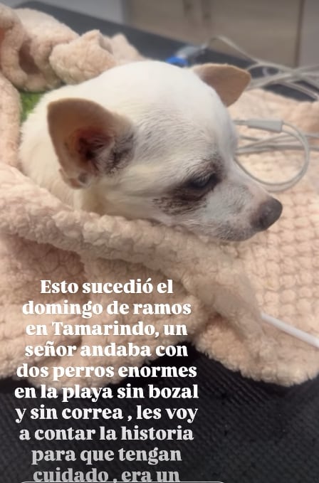 Austin Berry y su esposa Cristina Alfaro