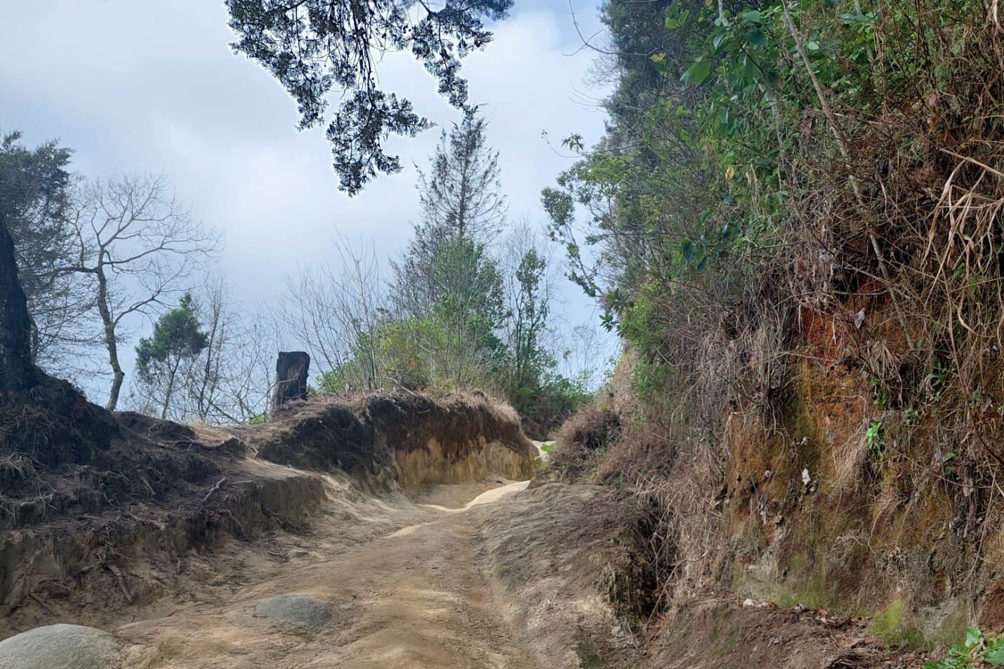 Recorra los bosques y senderos de Aserrí y conozca su historia en cada paso.
