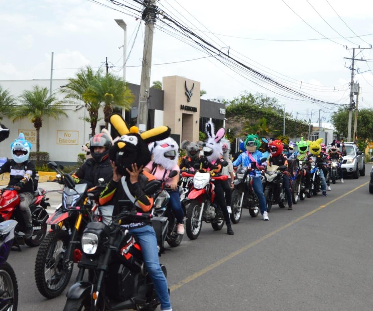 Hay un club de peluches motoqueros que se llaman Looney BikersClubcr que, posiblemente, usted ha visto rodando por las calles del país o le han tocado el corazón a algún conocido con la noble obra social que hacen