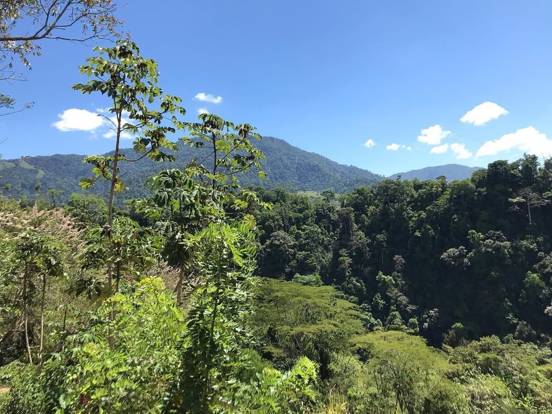 Catarata Eco Chontales