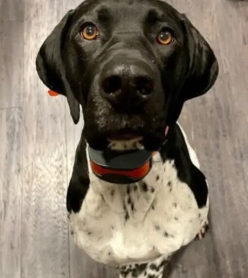 Jacob “Jake” Schmitt y Buddy