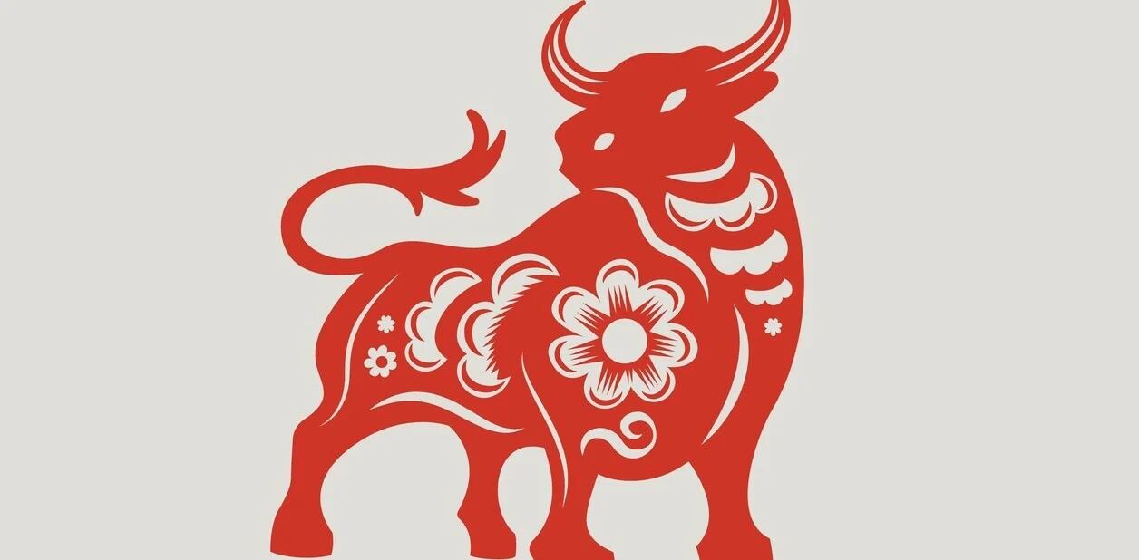 Horóscopo Chino 2023 del Año Nuevo Chino del Conejo de Agua. El Buey o Búfalo.