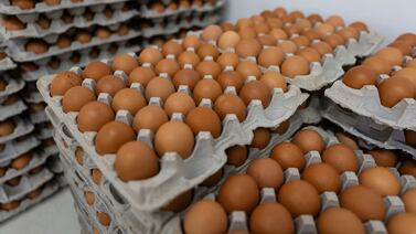 Este es el error que muchos cometen con los huevos antes de cocinarlos