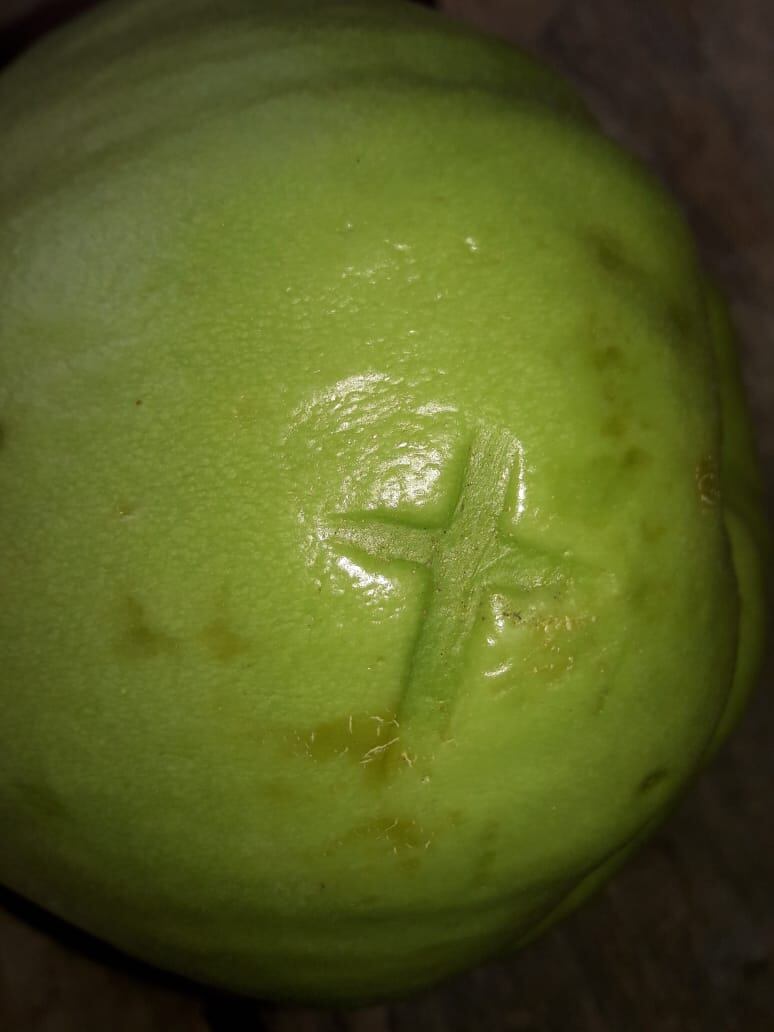 Don Fernando Chávez Rosas, agricultor de Cachí de Paraíso de Cartago, encontró el viernes 25 de febrero del 2022 un chayote con una cruz, mientras alistaba una caja para un pedido que le hicieron