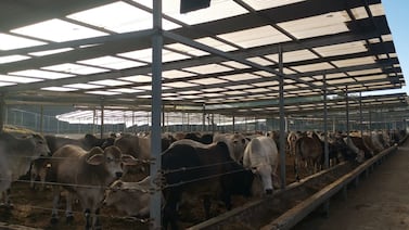 Lujosa hacienda que se habría conseguido con lavado de dinero pasó a manos del Estado