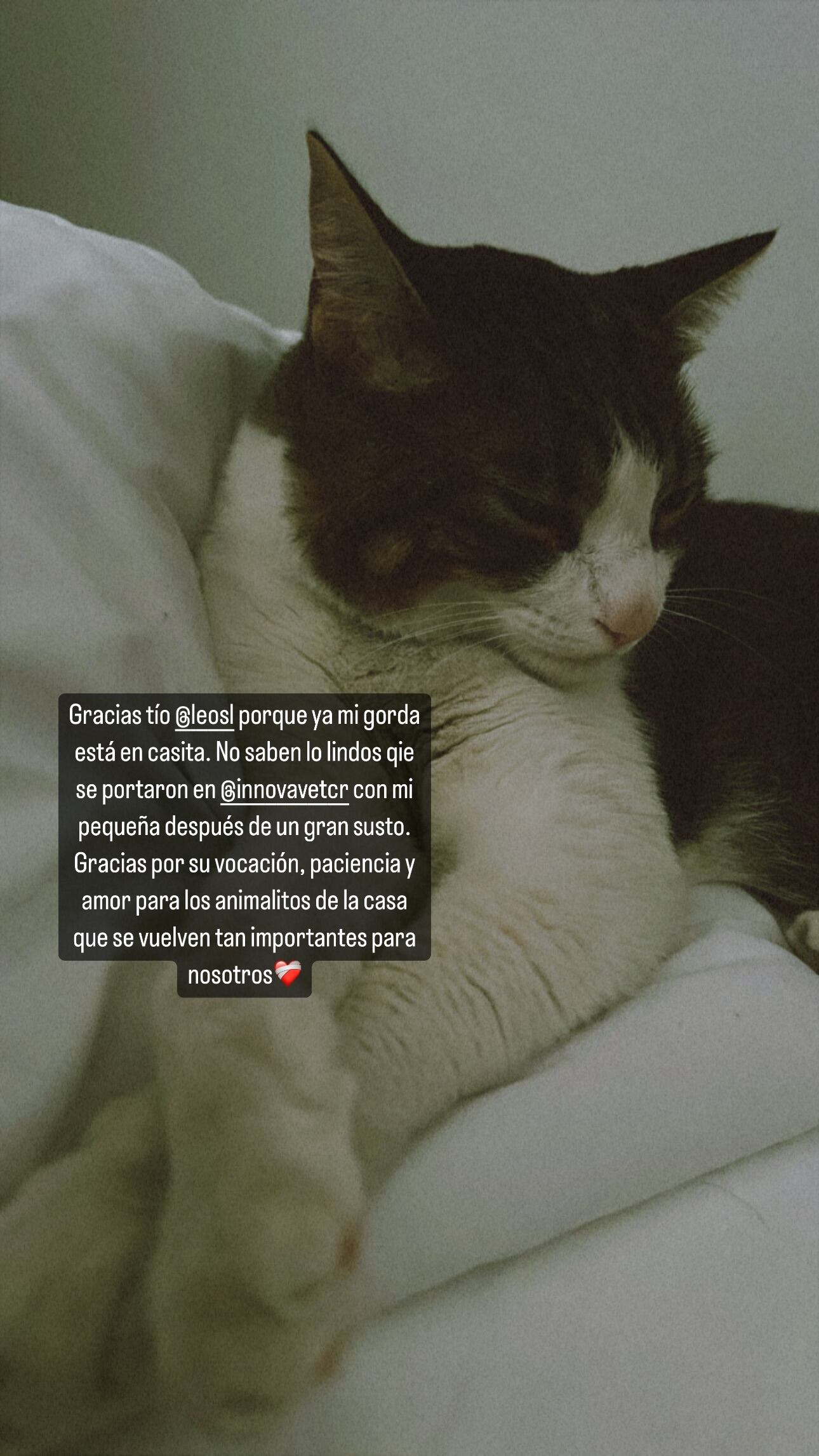 María Fernanda León, presentadora de canal 7