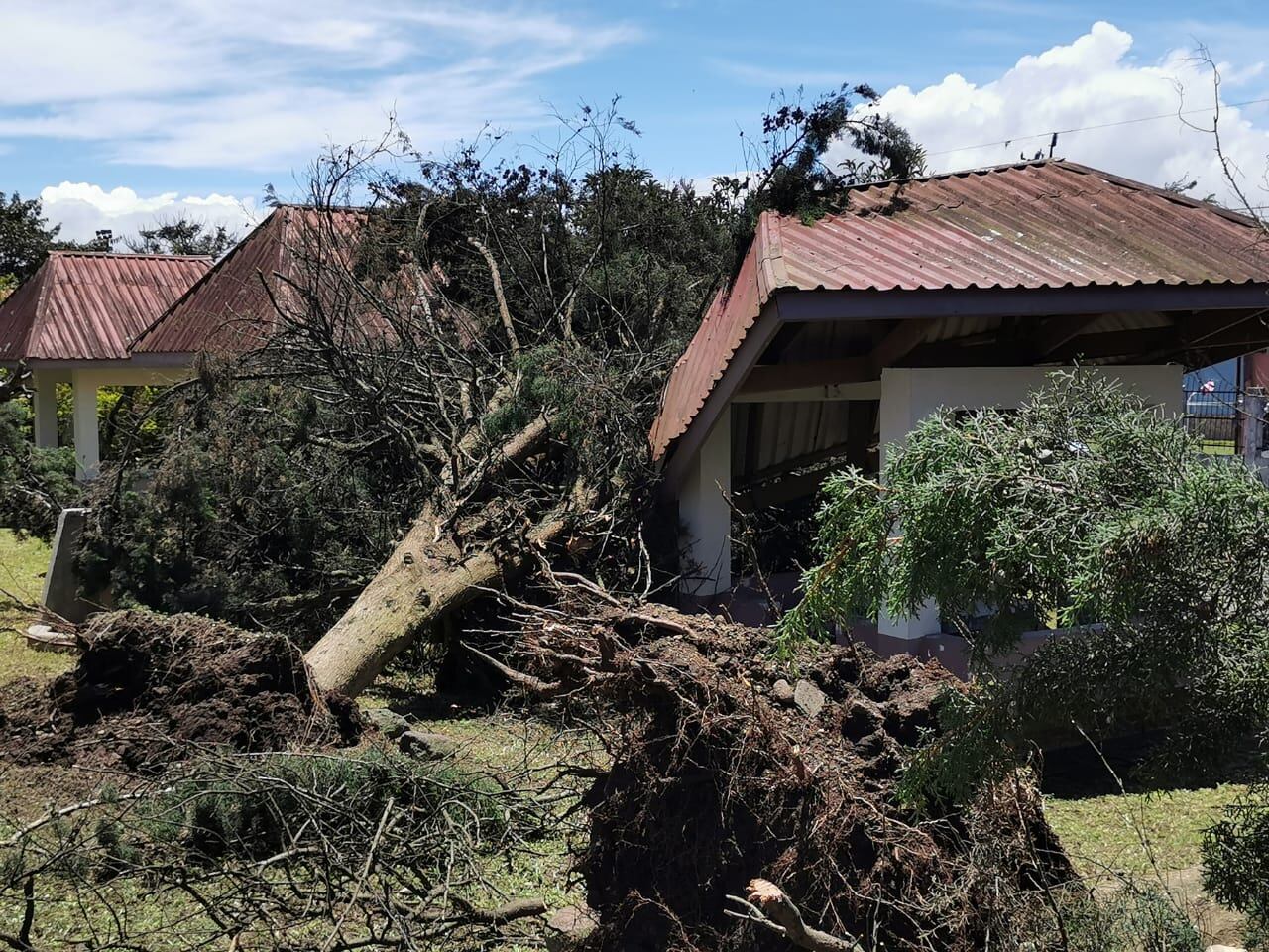 Tornado causó múltiples daños en negocios ubicados en los alrededores de la basílica de Los Ángeles. Foto Keyna Calderón.