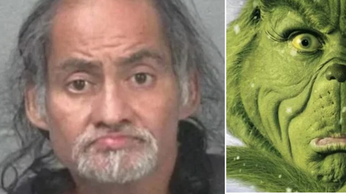 ‘Grinch’ de la vida real abre regalos y duerme en sofá ajeno