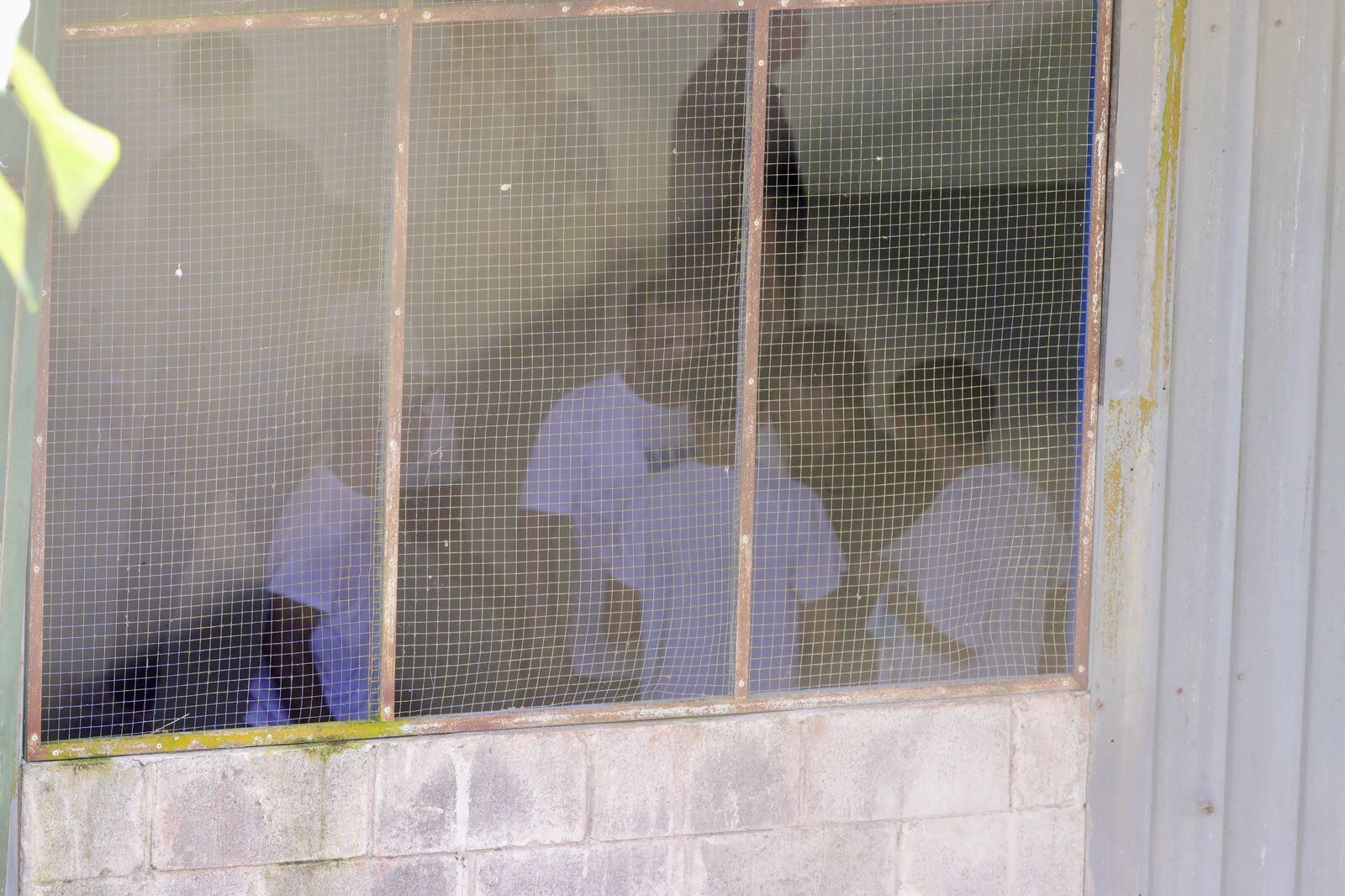 21/02/2025, Puntarenas, Ciudad Neilly, en el centro de Migración CATEM Centro de Atención a Migrantes en Ciudad Nelly Corredores de Puntarenas se encuentran los migrantes deportados de los Estados Unidos.