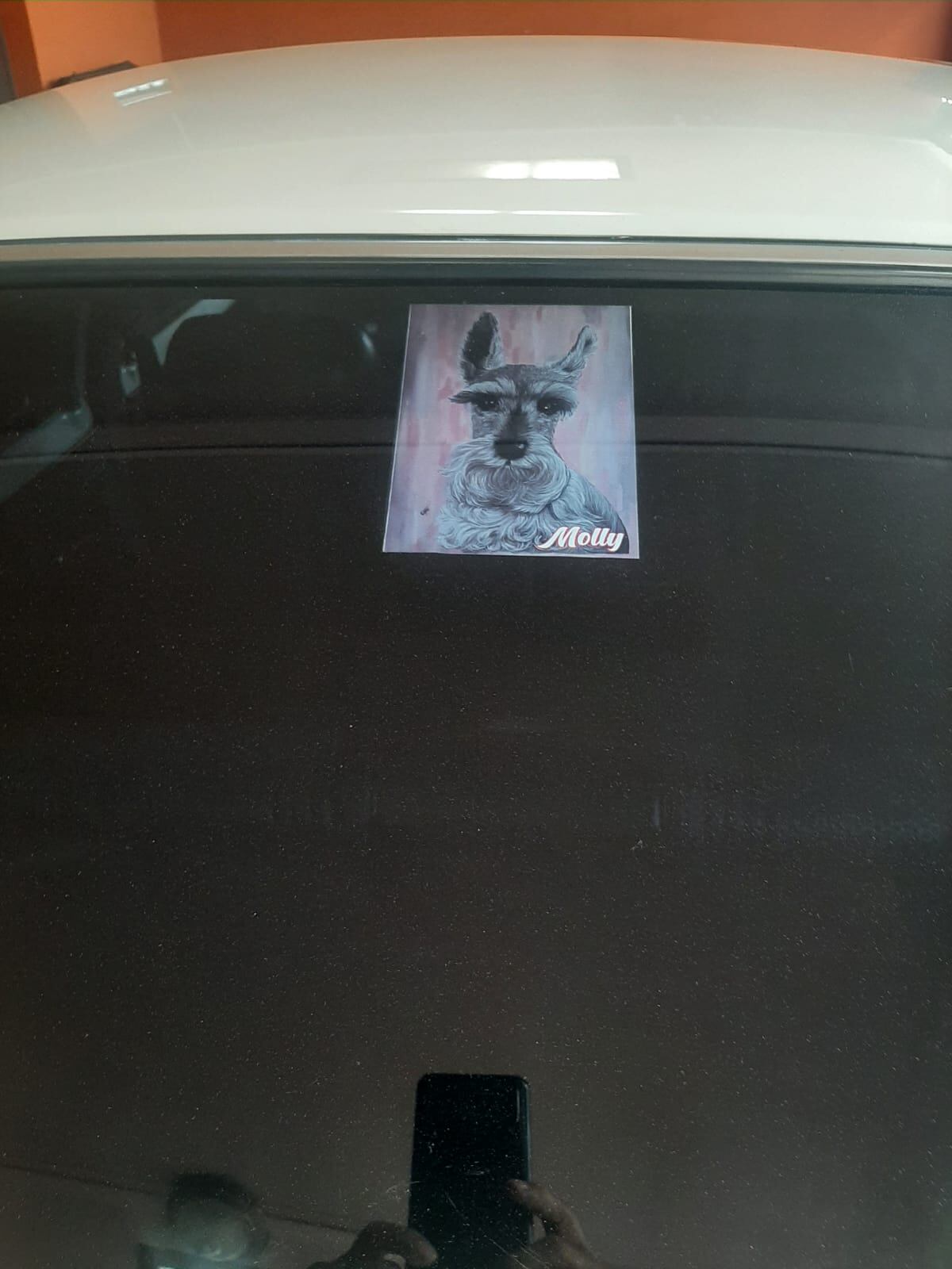 Luis Poveda, chuzo de la semana, Datsun 120Y, 1976