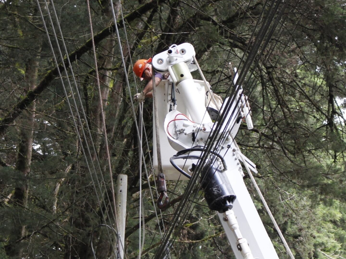 En San Isidro de Heredia estarán sin luz y agua este jueves | La Teja