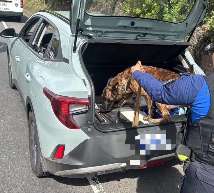 Detenida sobrina de Pecho de Rata