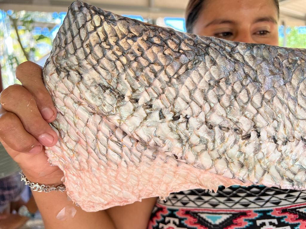 Familias pesqueras de Puntarenas ahora harán platica con el cuero del pescado. El cuero del pescado es considerado en Puntarenas como material de desecho que más bien contamina y ahora servirá para ganar dinero
