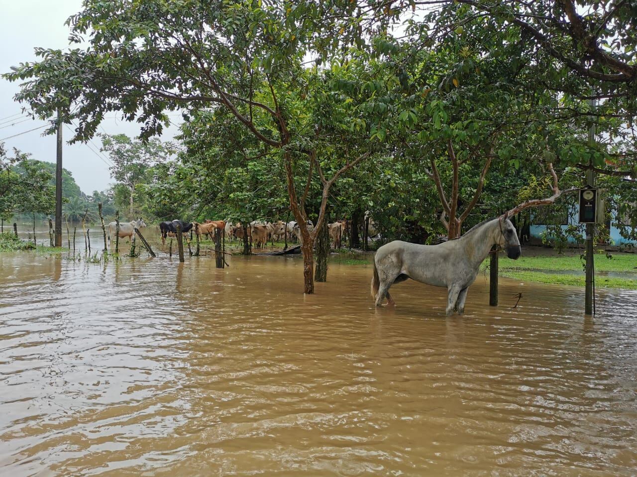 inundaciones caribe abril 2020
