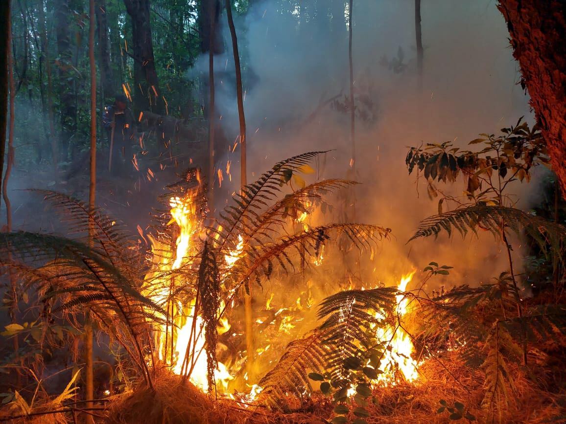 Incendio Forestal, Prusia