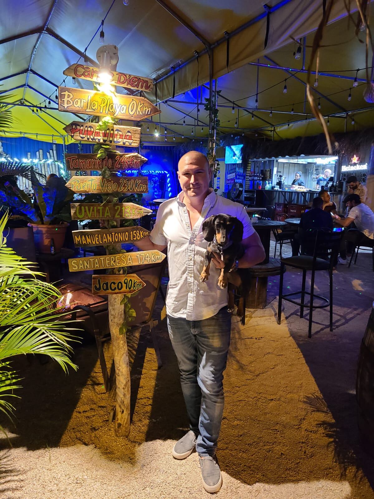 Beto, un amoroso y chineado salchicha que nació el pasado 1 de junio y es santaneño de la pura cepa. Se puede decir con total seguridad que es el “gerente general” del bar y restaurante La Playa, que está a 100 metros al oeste de la tienda Ekono de Santa Ana centro. El dueño es don Marco Alfaro Vargas