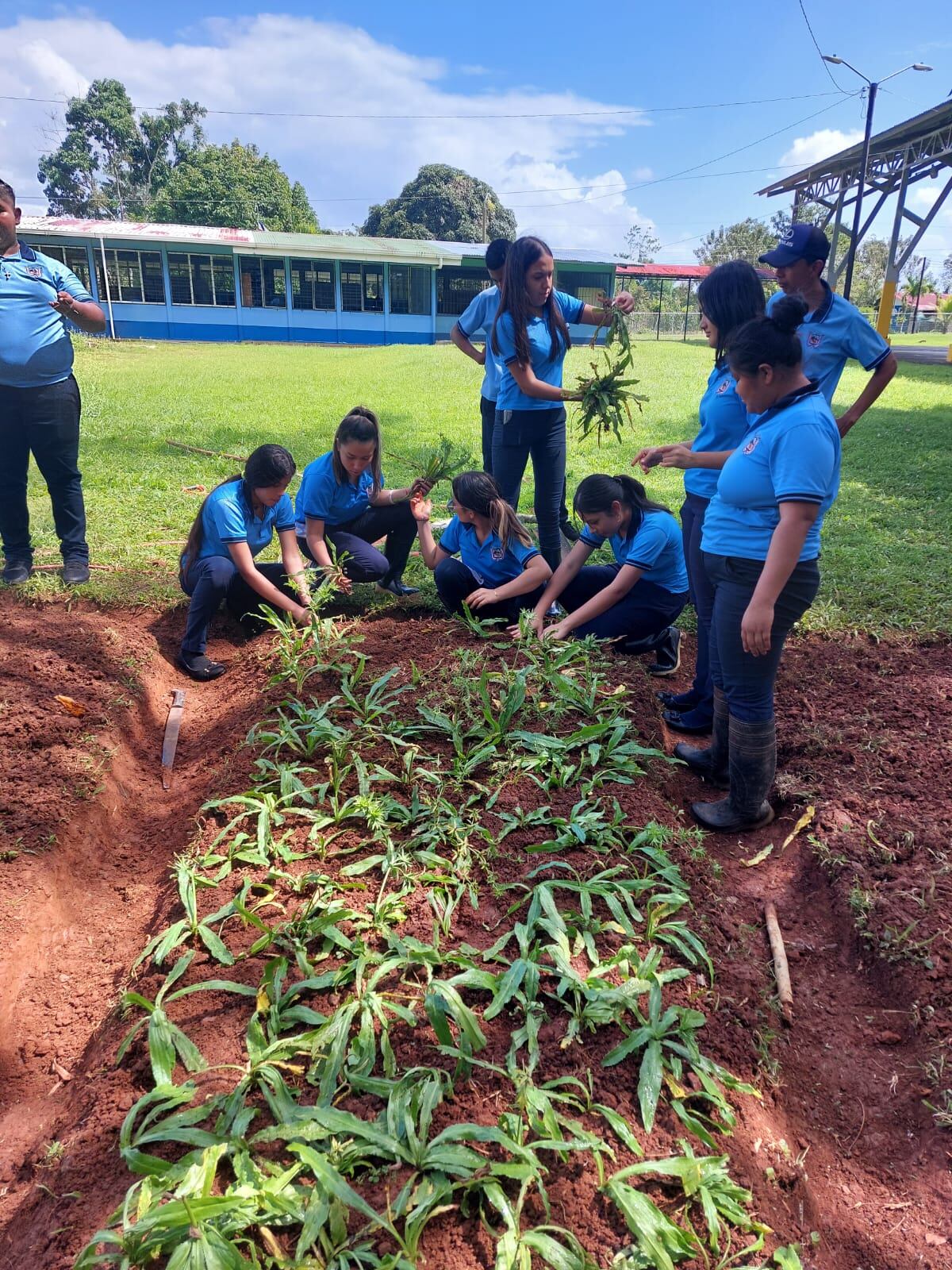 En el Liceo Rural de San Joaquín de Cutris, en San Carlos, desde hace cuatro años todos los estudiantes que inician el curso lectivo lo finalizan.