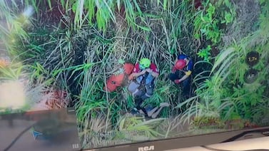 Así está el hombre que la Cruz Roja encontró gritando al fondo de un guindo