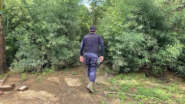 Vecinos de Desamparados se toparon con macabra escena en río Tiribí