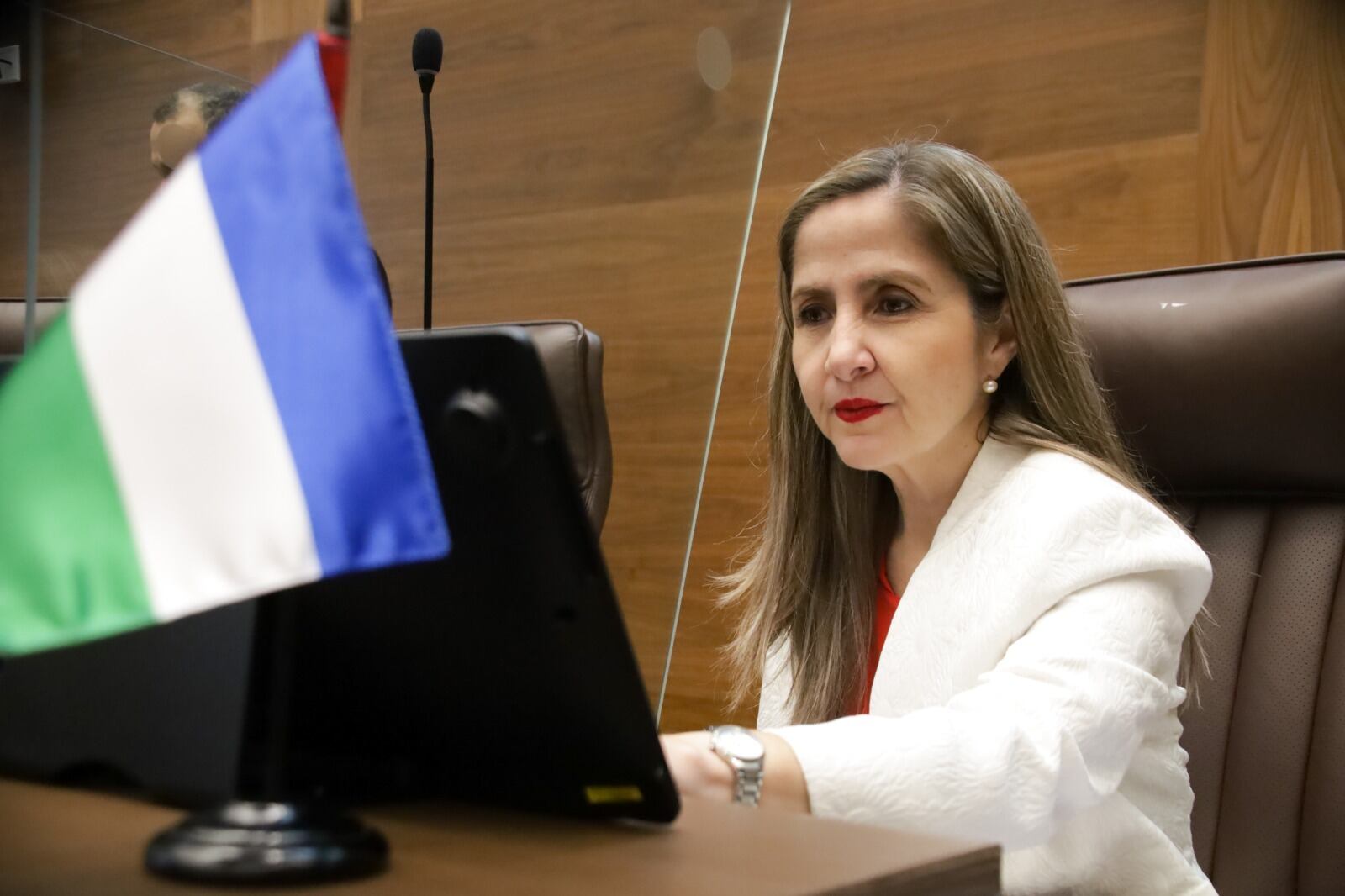 El voto de la diputada Alejandra Larios, es uno de los siete que permitieron aprobar la reforma a la prisión preventiva. Foto: Cortesía PLN