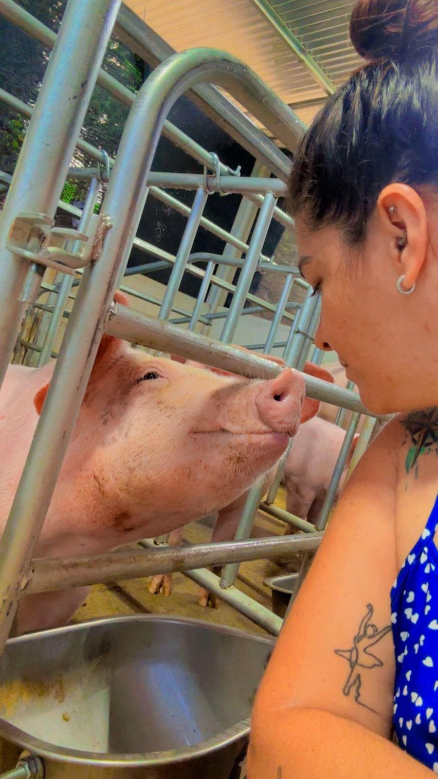 Joselyn Villalobos lidera su propia granja porcina