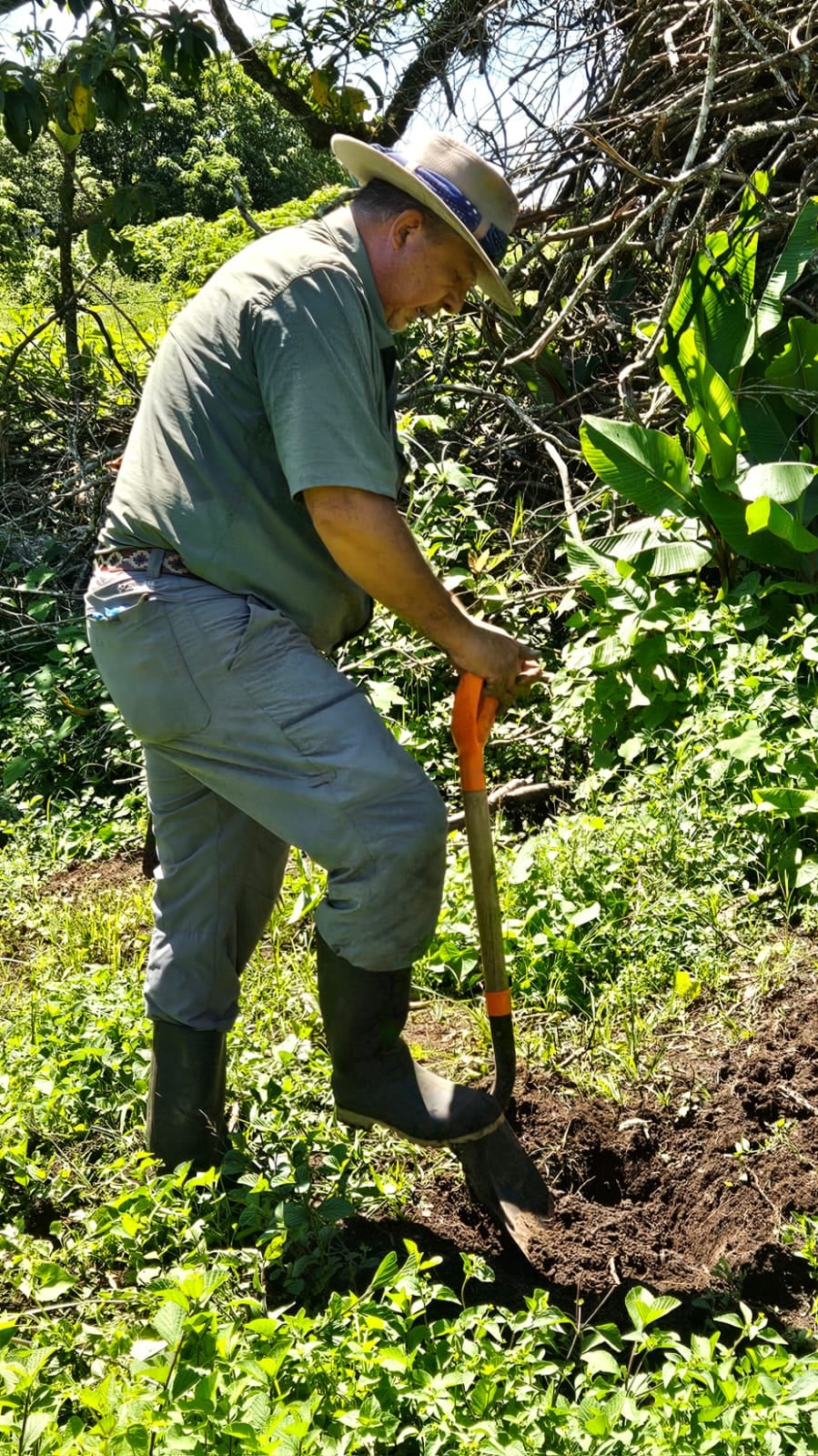Luis Guillermo Solís dedica su tiempo libre a la agricultura