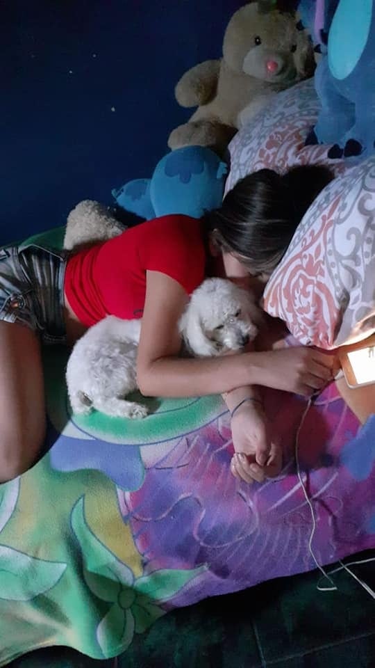 Luna, la perrita que cuidaba casi todo el día Allison Pamela Bonilla Vásquez, esta deprimida por la ausencia de la que era su "mamá".