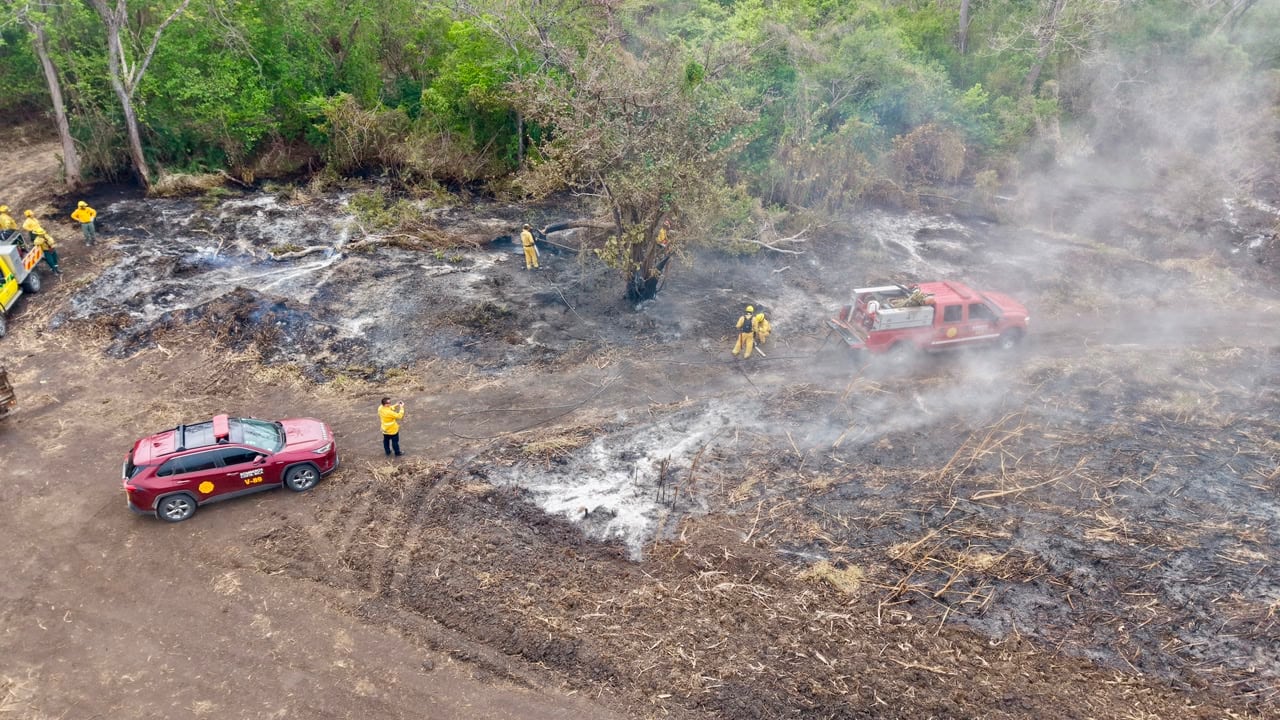 El incendio en Palo Verde tiene trabajando a más de 60 bomberos por día ya que el fuego está encerrado pero no controlado. Se quemó ya una extensión como de unas 56 parques La Sabana.
