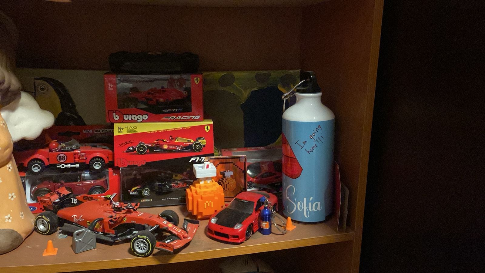 Sofía Calderón, una joven de 13 años dedica su vida al kartismo y nos habló de esta disciplina. Cortesía.