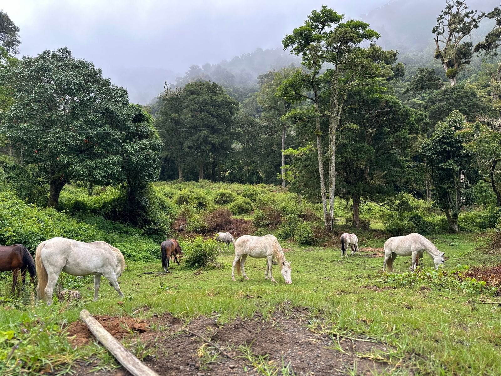 Jeff On encontró en Costa Rica su rincón perfecto para relajarse y recargar energías.