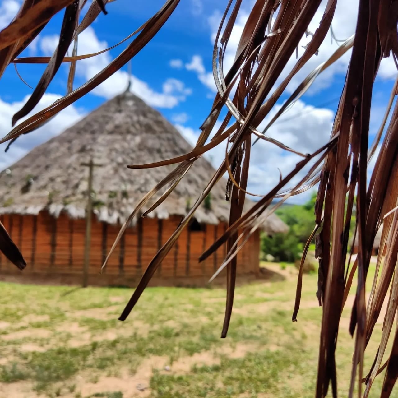 El fraile costarricense, Erick Marín Carballo, estuvo desde el 2022 al 2024 en el Amazonas y compartiendo 100% del tiempo con indígenas aprendió a comer mono, insectos de todo tipo y enamorarse del sabor de la piraña