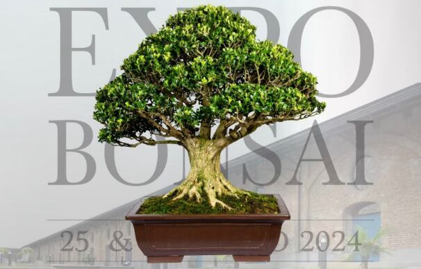 La Expo Bonsai lo invita a pasar un fin de semana en familia y aprender sobre el arte del bonsái.