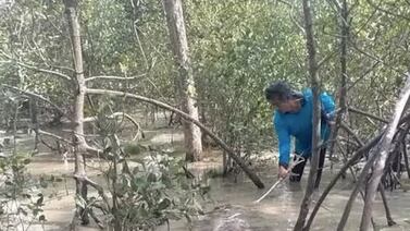 La terrorífica criatura de cuatro metros que hallaron unos pescadores