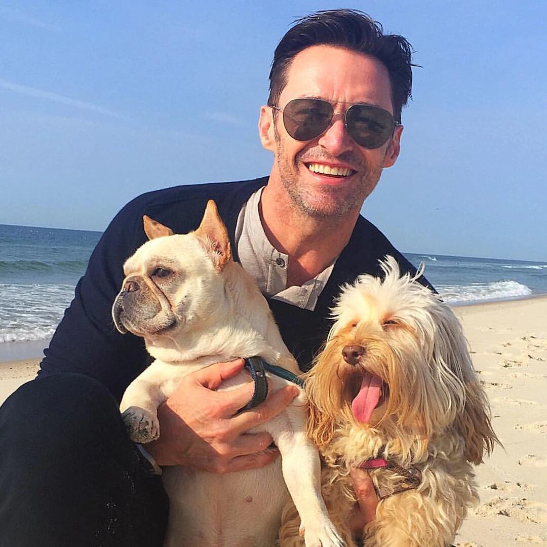 Hugh Jackman, perro Dalí