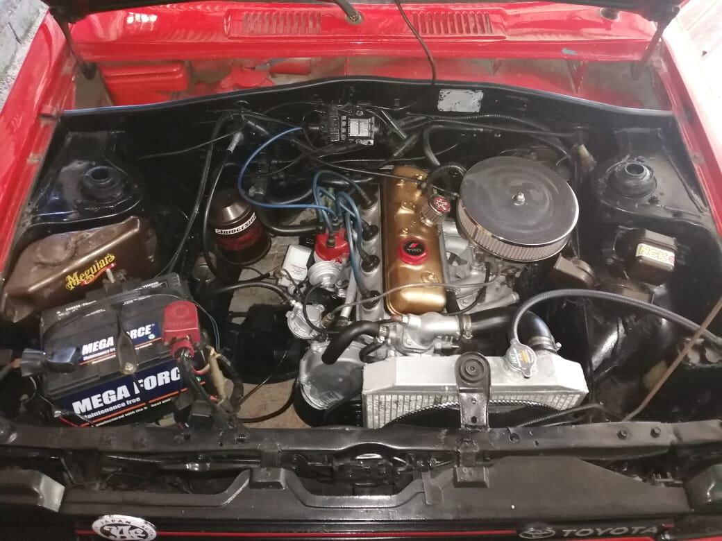 Starlet 82, Ermenegilda, Anthony Gutiérrez