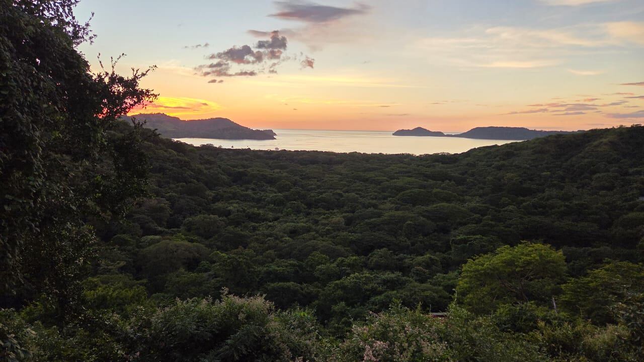 Vista aérea del dosel arbóreo en playa Panamá (Carrillo, Guanacaste) donde la empresa Enjoy Hotels & Resorts desarrollaría el proyecto turístico Bahía Papagayo. La iniciativa, valorada en $925 millones, contempla la tala de hasta 700 árboles en su primera etapa.