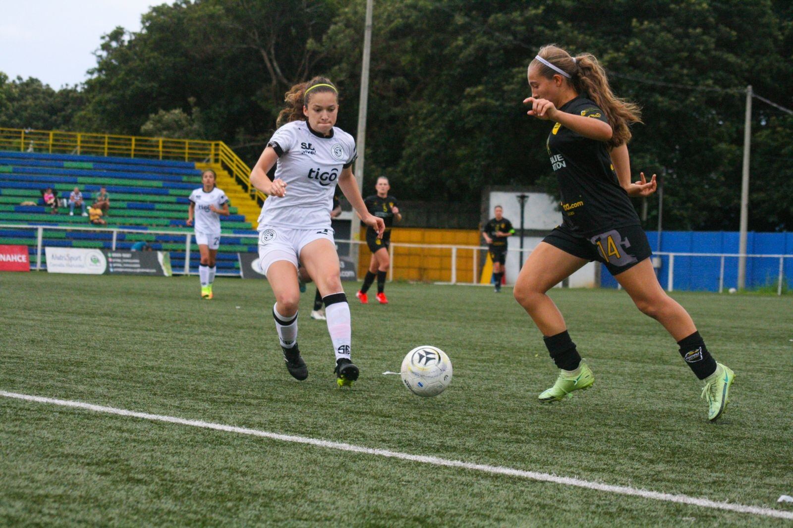 Semifinales del torneo de Copa femenino. Prensa Dimas.