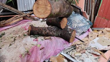 Juntos hasta el final: Joven papá y su hijita de 4 años murieron uno al lado del otro