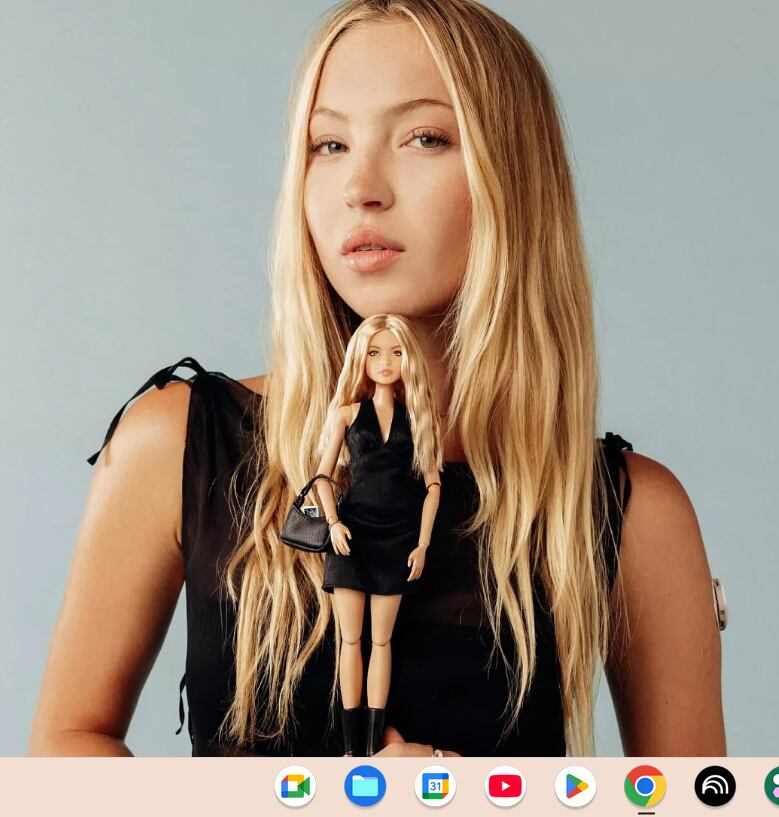 euronews barbie con diabetes