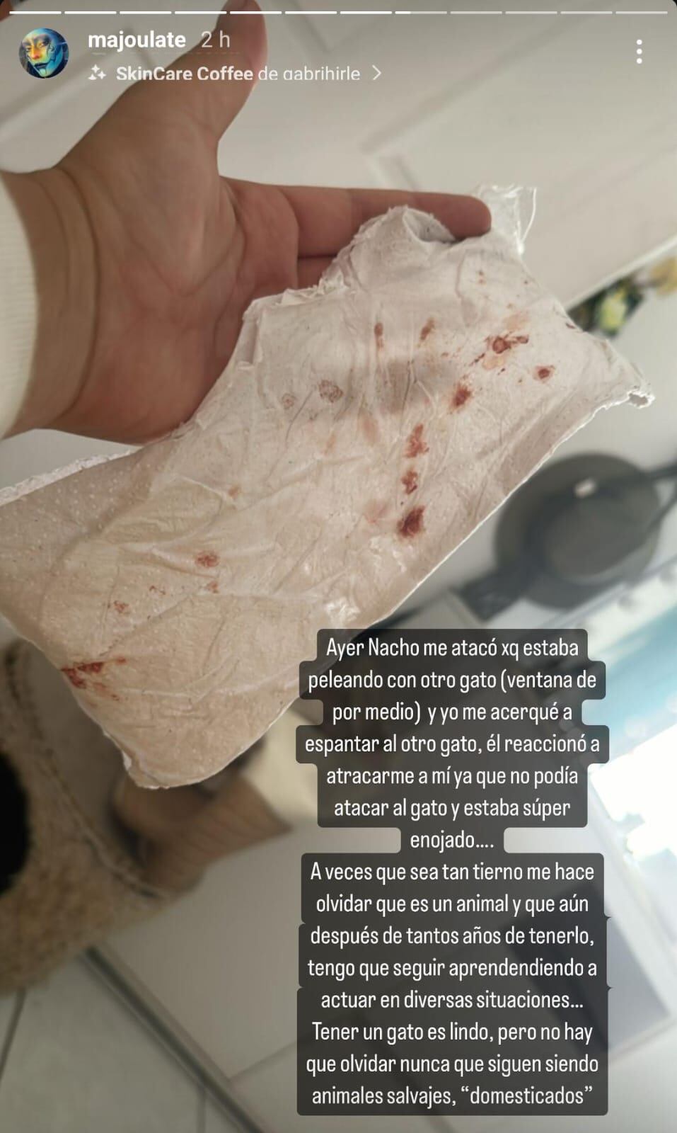 Mauricio Hoffmann y María José Ulate