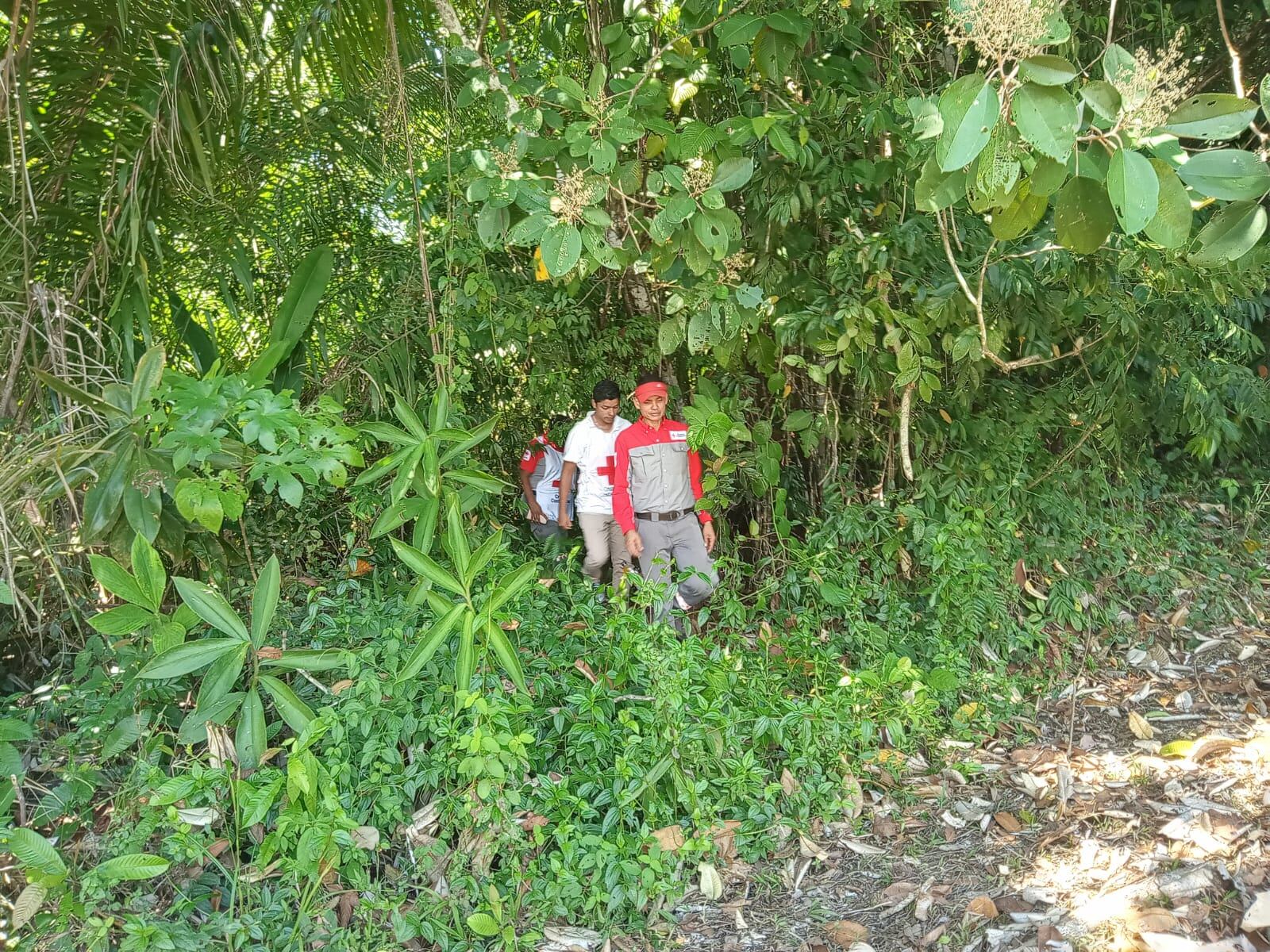 Buscan a adulto mayor desaparecido en playa blanca de Puerto Jiménez