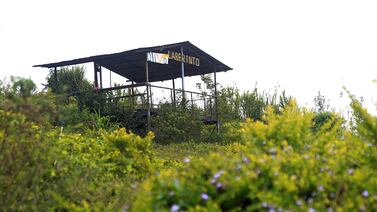 Explore un fascinante laberinto verde que lo hará adentrarse en la naturaleza