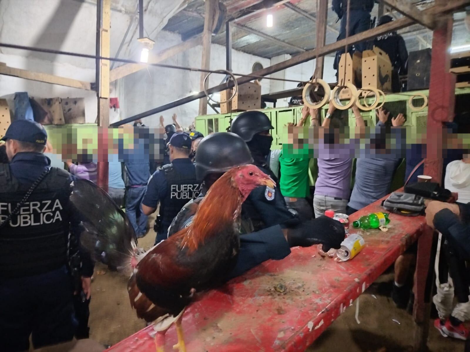 La Fuerza Pública arrestó a siete personas, una de ellas con orden de captura por el delito de abuso sexual.