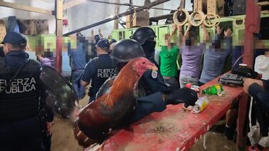 Guaro, dinero y hombre con orden de captura descubiertos en redondel de peleas de gallos