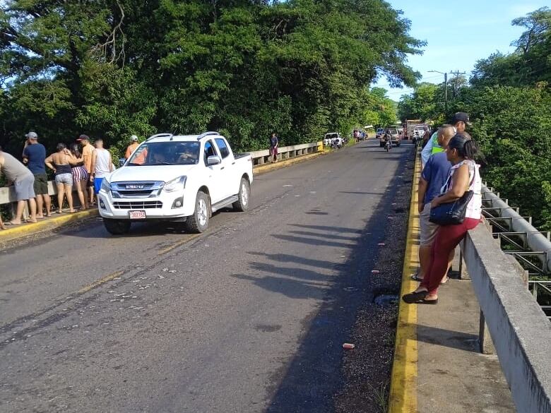 Ataque cocodrilo Guanacaste.