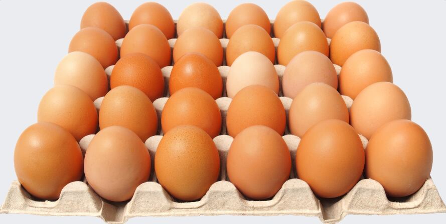 Este 11 de octubre se celebra el Día Mundial del Huevo. Cortesía Sabores.