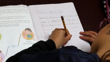 MEP analiza plan para reducir los 200 días lectivos, pero enfrenta gran limitación (el ministro tiene un plan)