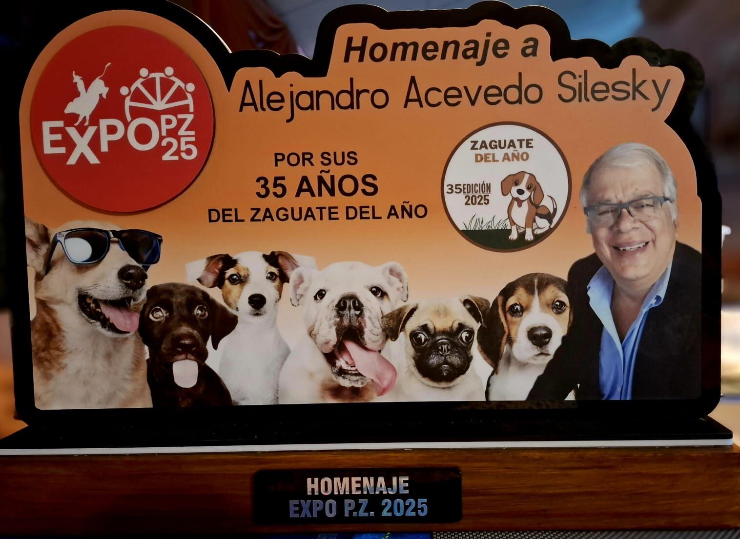 Pirucho, un perrito que fue rescatado de las calles, ganó la edición 35 del Zaguate del Año que se realiza en Pérez Zeledón.