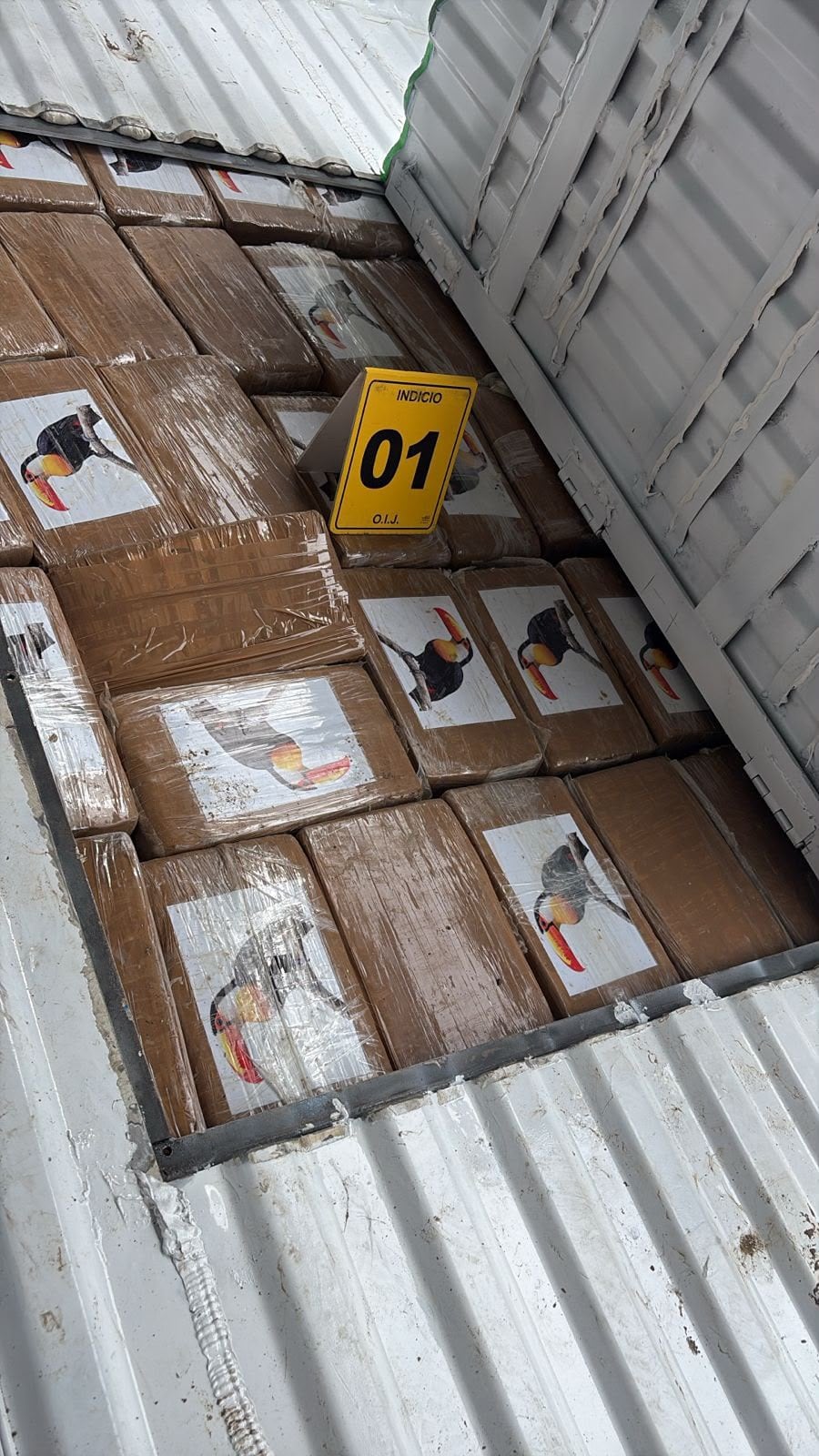 El OIJ encontró 173 paquetes de aparente cocaína ocultos en un doble compartimento dentro del vehículo.